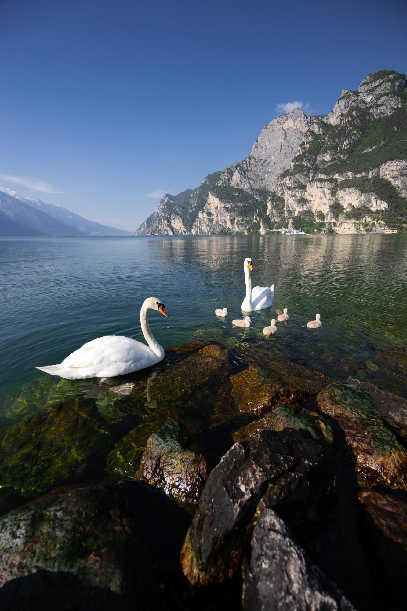 Appartamento Laura Riva del Garda Dış mekan fotoğraf